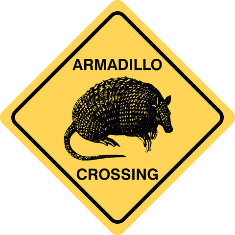 Armadillo Crossing