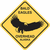 Bald Eagles Overhead
