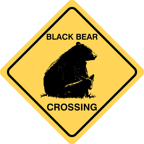 Black Bear Crossing