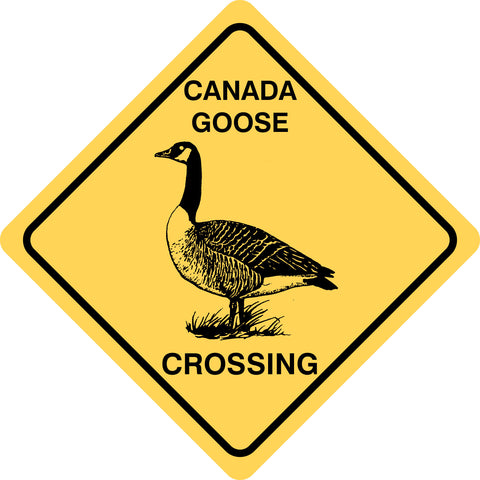 Canada Goose Crossing