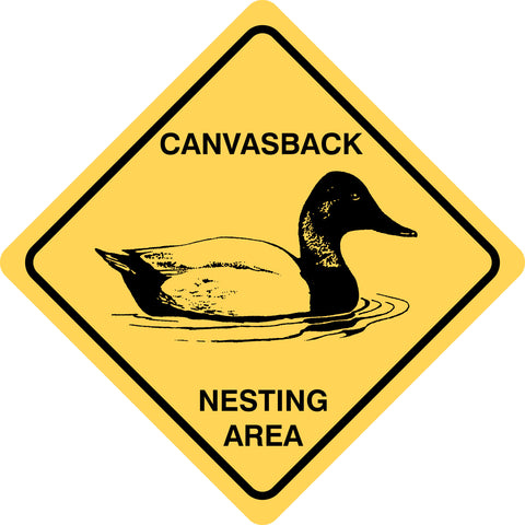 Canvasback Nesting Area