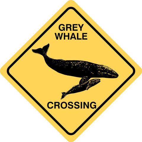 Grey Whale Crossing