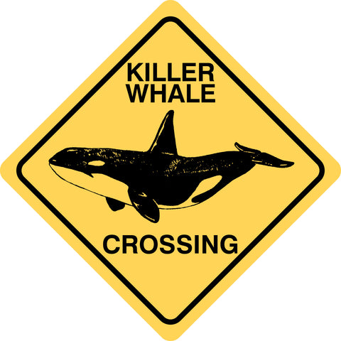 Killer Whale Crossing