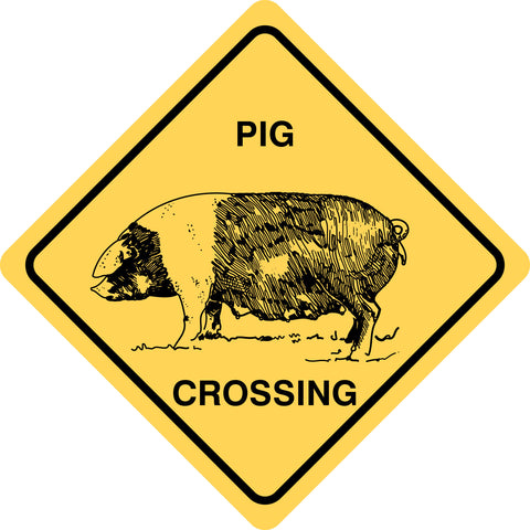 Pig Crossing