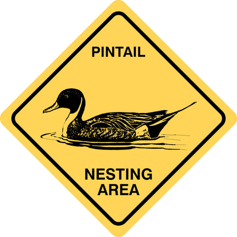 Pintail Nesting Area